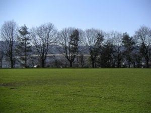 Lillis-Albina Park - Feb 2007