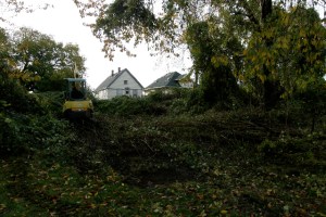 Port City Community Garden