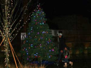 Tree at MLK Gateway. Courtesy NNEBA