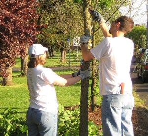 Tree Pruning Workshop