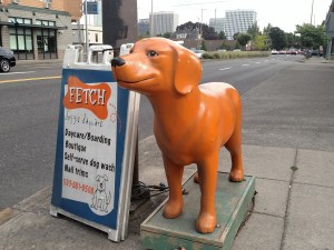 Orange Dog Statue outside of Fetch