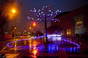 Tree light up for Festival of Lights